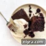 Close up of Depression cake and vanilla ice cream on a white plate.