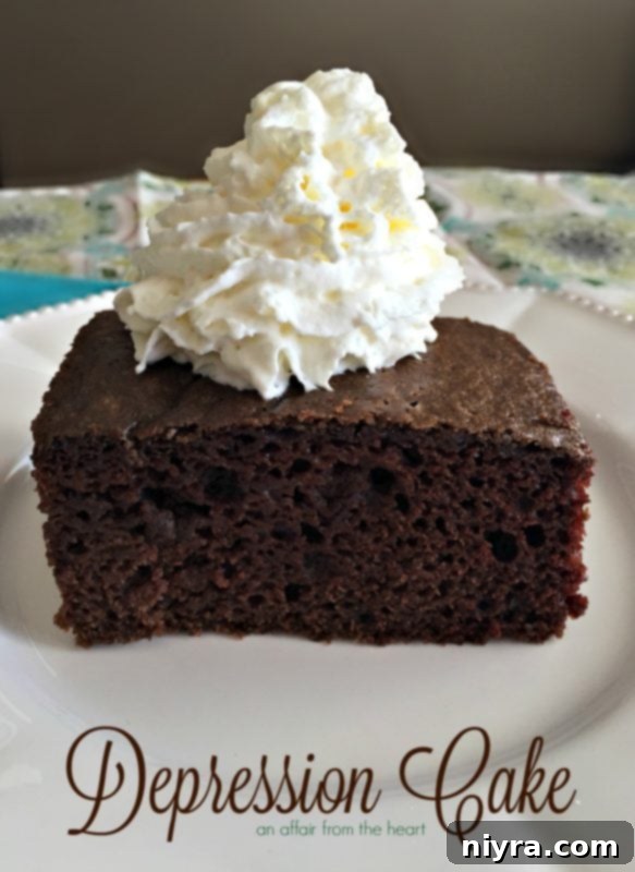 Side view of Depression Cake on a white plate