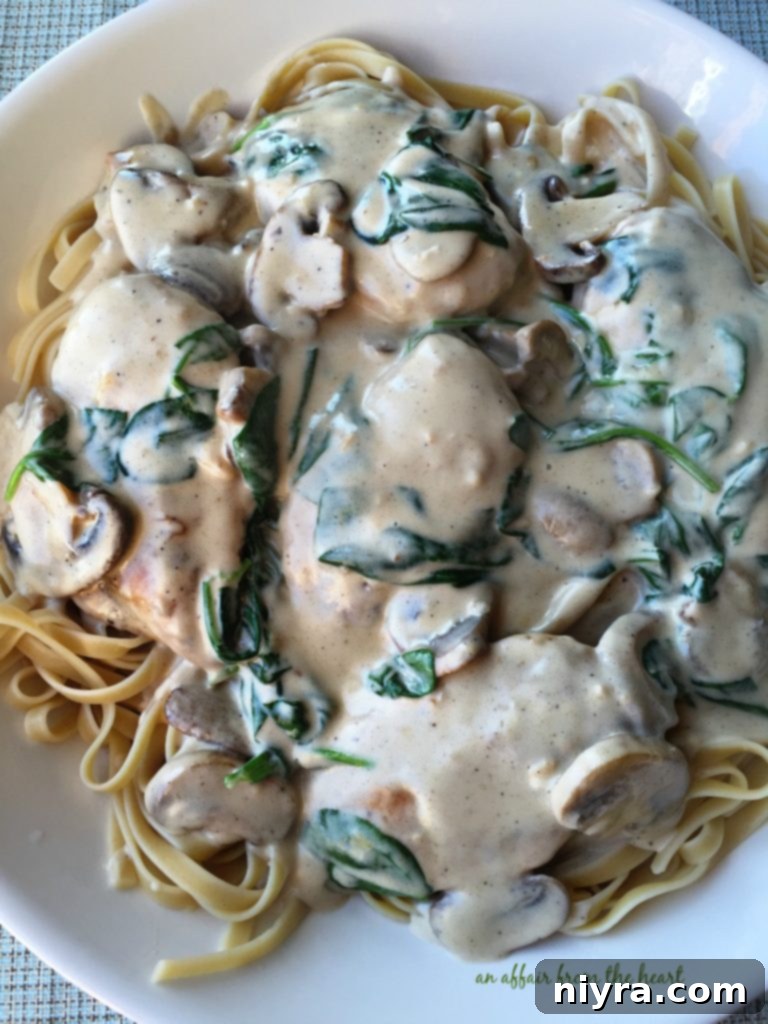 Chicken and Mushroom Florentine Pasta plated with garnish