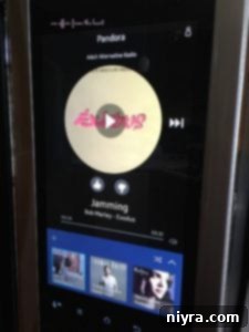Mocha Chocolate Chip Icebox Delight 10 Samsung Family Hub Pandora App for Music Streaming