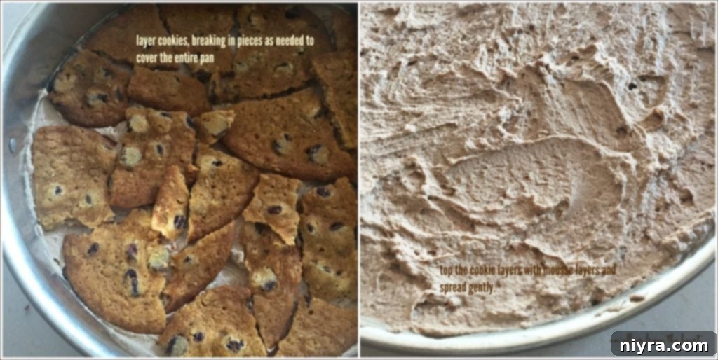 Mocha Chocolate Chip Icebox Delight 14 Layering Mocha Chocolate Chip Icebox Cake in a Springform Pan