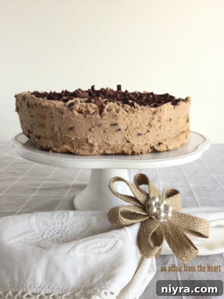 Mocha Chocolate Chip Icebox Delight 15 Mocha Chocolate Chip Icebox Cake After Chilling