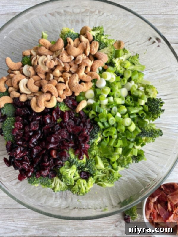 One bowl filled with cashews, onions, Craisins, broccoli