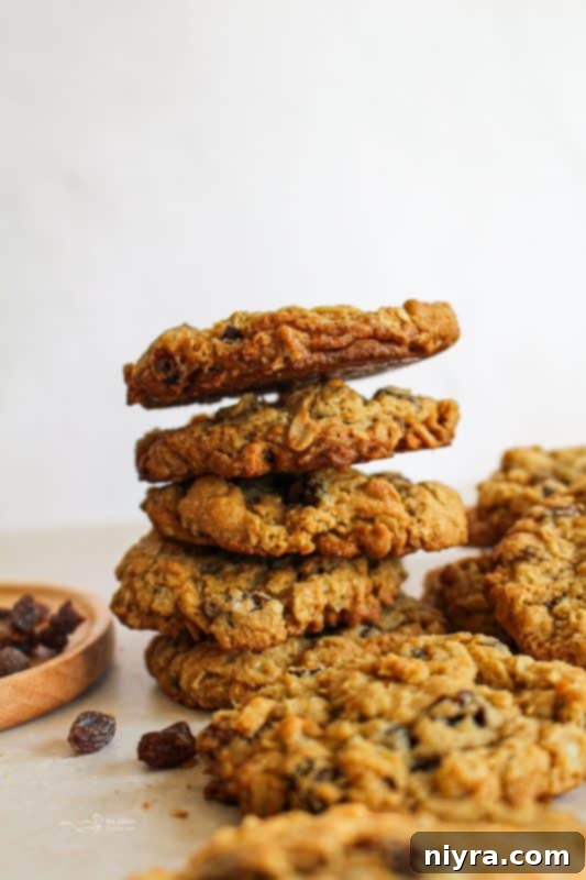 A plate full of Grandma Jane's Chewy Oatmeal Raisin Cookies, showcasing their perfectly golden edges and soft texture.