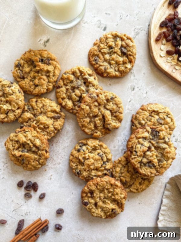 A warm, freshly baked oatmeal raisin cookie broken in half to show its chewy interior.