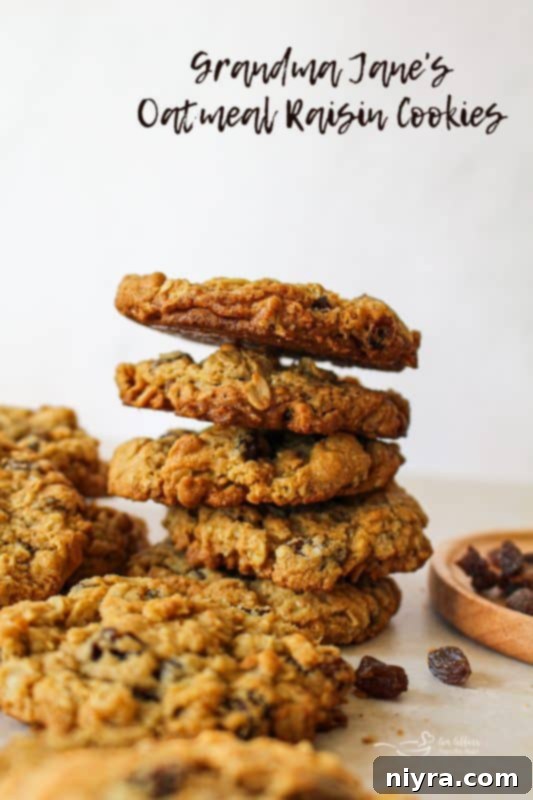 A hero shot of Grandma Jane's Oatmeal Raisin Cookies, beautifully arranged and ready to be enjoyed.