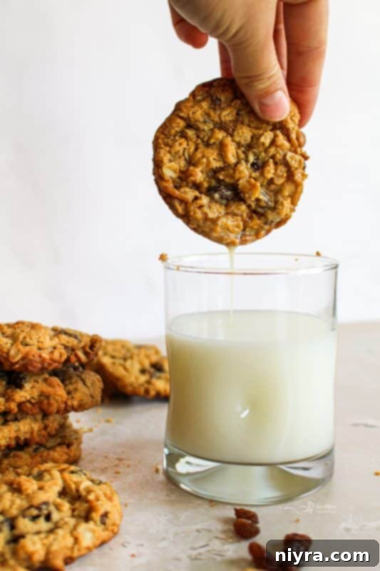 A close-up of a single oatmeal raisin cookie, highlighting the texture of the oats and the juicy raisins.