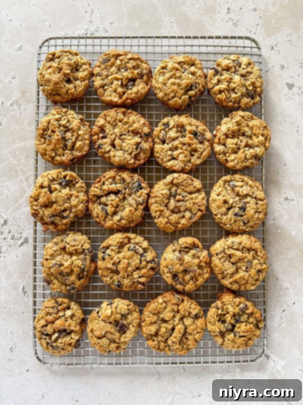 Classic oatmeal raisin cookies cooling on a wire rack after being baked to perfection.
