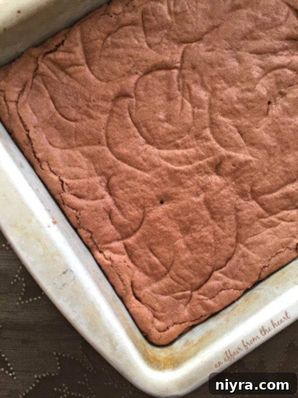Brownie batter spread evenly in a 9x13 inch baking dish