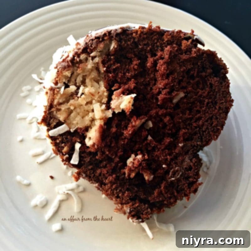 Velvet Chocolate Macaroon Hidden Gem Cake 4 Close-up of a slice of Chocolate Macaroon Tunnel Cake highlighting the rich chocolate cake and moist coconut filling