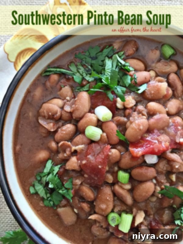 Hearty Southwestern Pinto Bean Soup in a bowl, garnished with fresh cilantro and a dollop of sour cream, ready to be served.