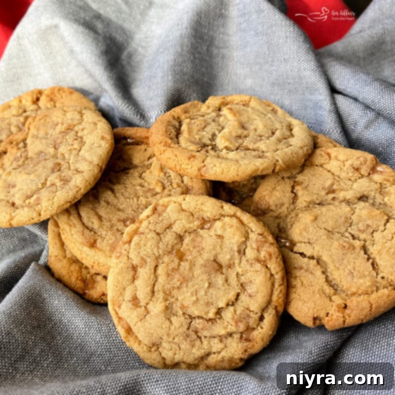 Butter Brickle Cookies recipe featured in the planner