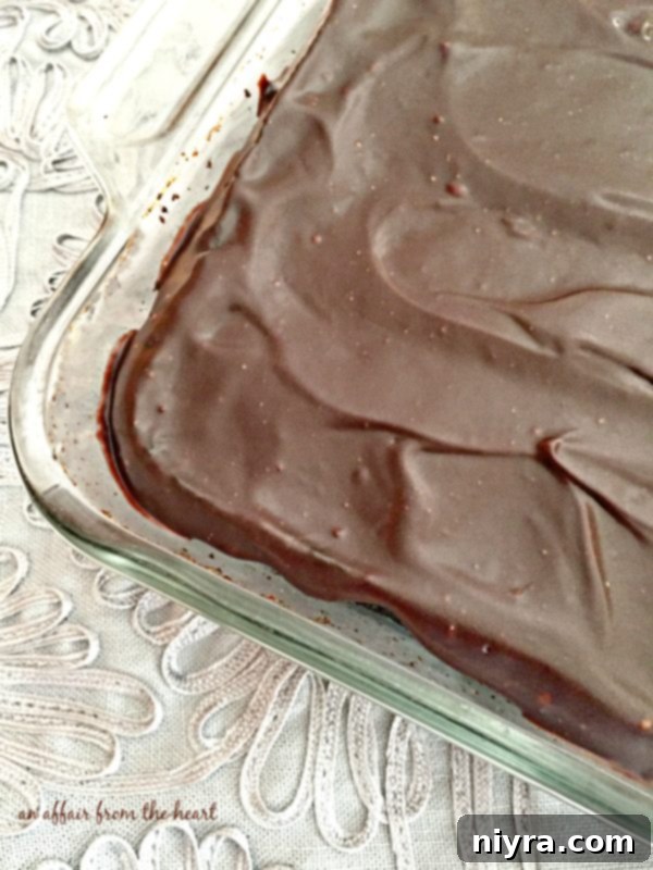 Top-down view of a fully frosted Chocolate Beet Cake with chocolate ganache