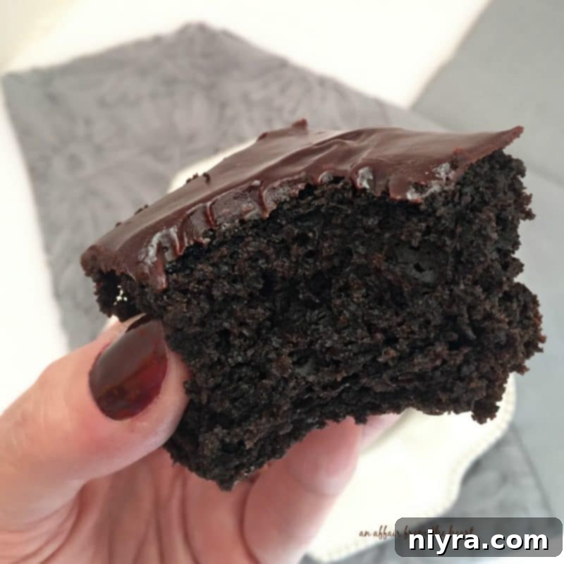 A beautiful Chocolate Beet Cake served on a white plate, highlighting its dark color
