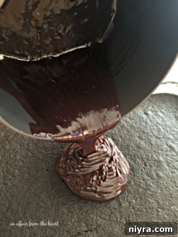 Whole Chocolate Beet Cake with powdered sugar, showcasing an alternative presentation