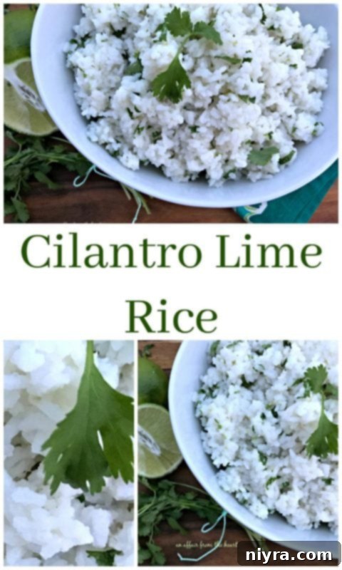 Close-up shot of Cilantro Lime Rice in a bowl, showing the texture and herbs.