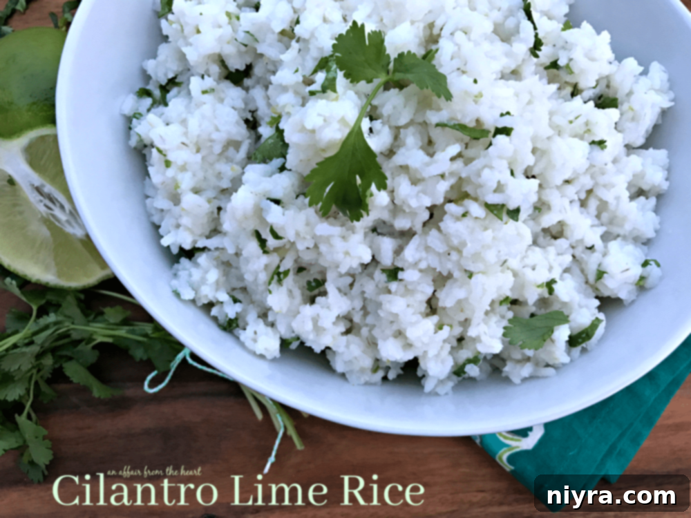 A bowl of Cilantro Lime Rice, ready to be served.