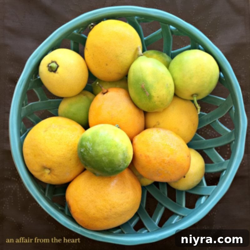 Tangy Lemon Delights 4 img 7870 3