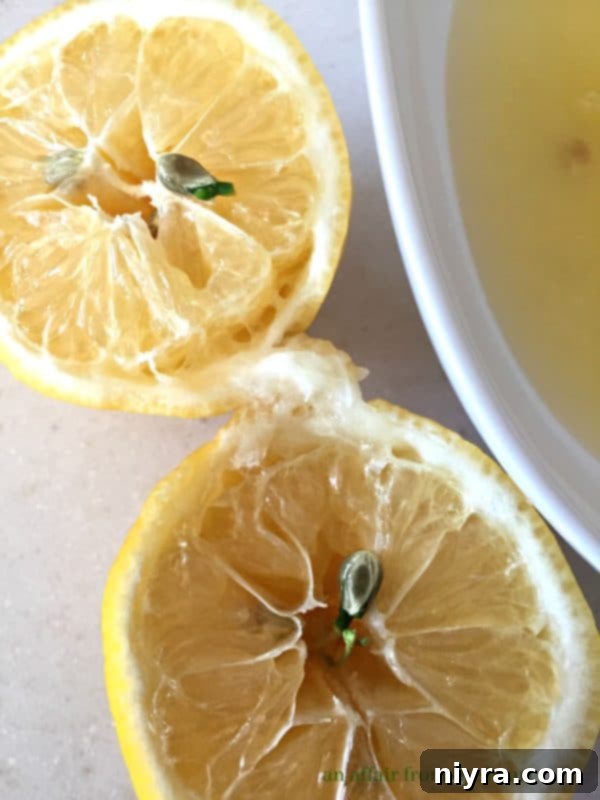 Tangy Lemon Delights 6 img 7870 5