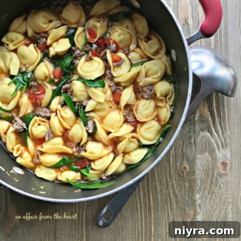 A close-up of a serving of Tortellini Soup with Spinach and Sausage, garnished.