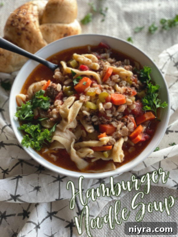 Another enticing photo of Hamburger Noodle Soup ready to be enjoyed.