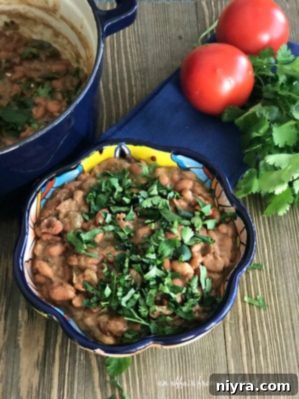 Easy Homemade Refried Beans, vibrant and ready to serve on a colorful plate
