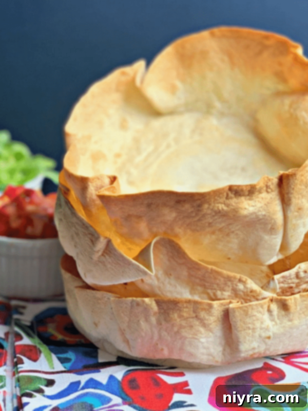 AIR FRYER TACO SALAD BOWLS STORY Poster Image