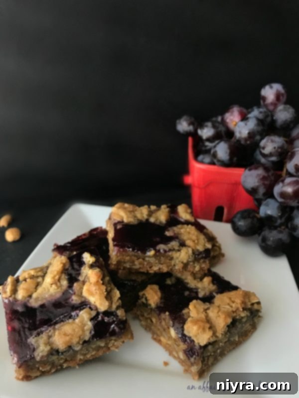 PB&J Oatmeal Cookie Bars, arranged artistically for a photoshoot