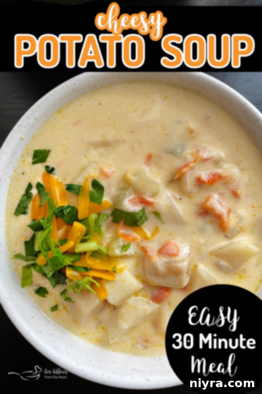 A beautifully composed flat lay image of cheesy potato soup in a white bowl, perfect for pinning.