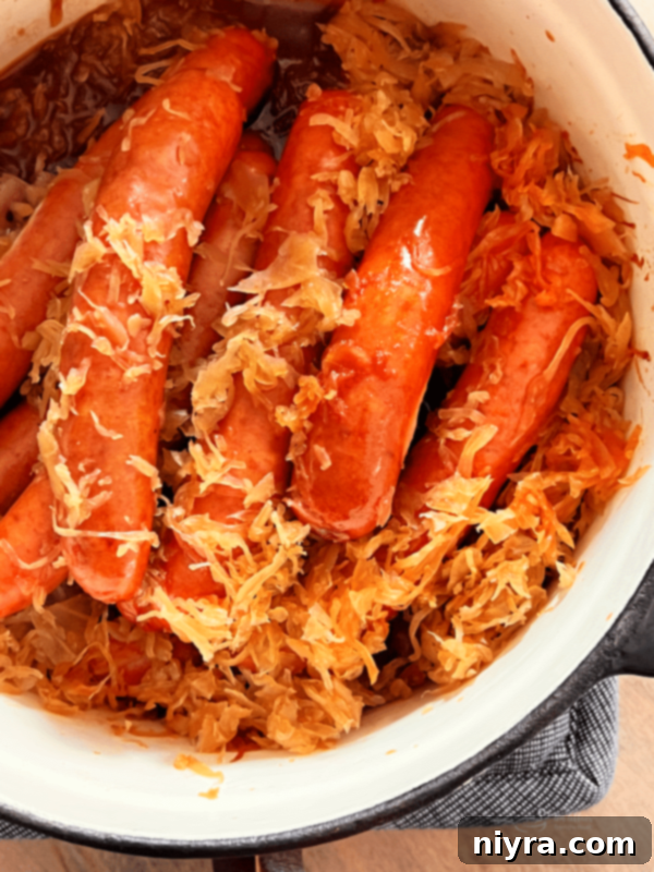 BBQ Hot Dogs with Sauerkraut in a bun, close up