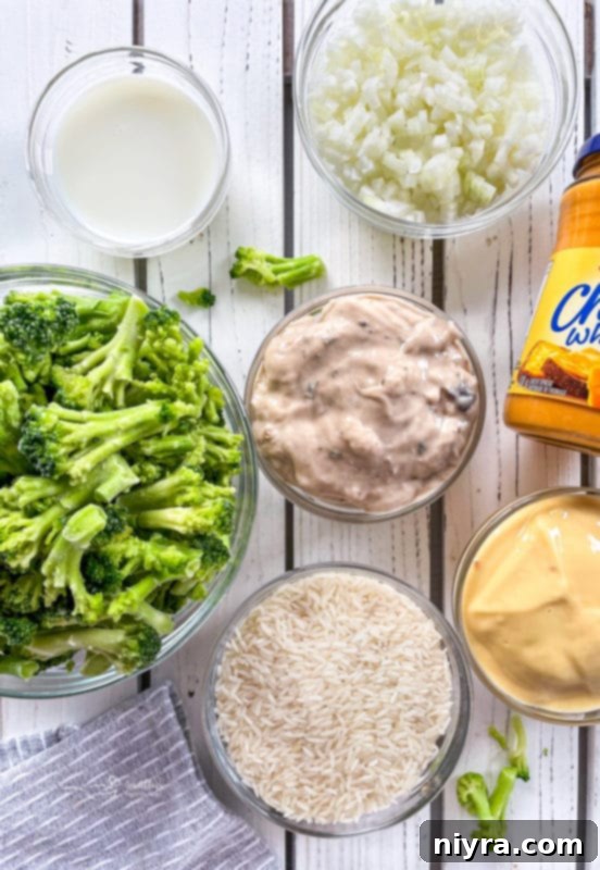 Top view of cream of chicken, cream of mushroom, Cheese Whiz, rice, milk, onion, and broccoli