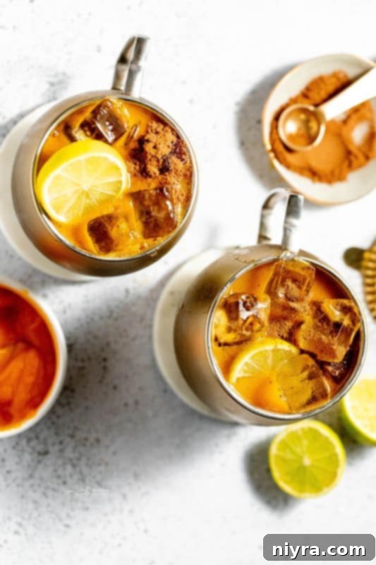 A finished Pumpkin Spice Moscow Mule garnished with cinnamon and cinnamon sticks.