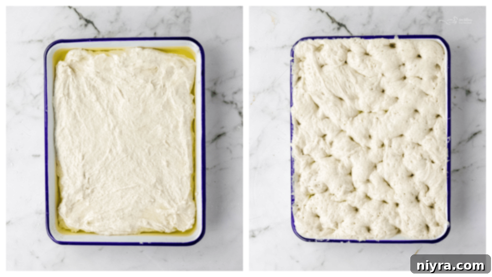 Focaccia dough transferred to an oiled baking pan, ready for its first rise