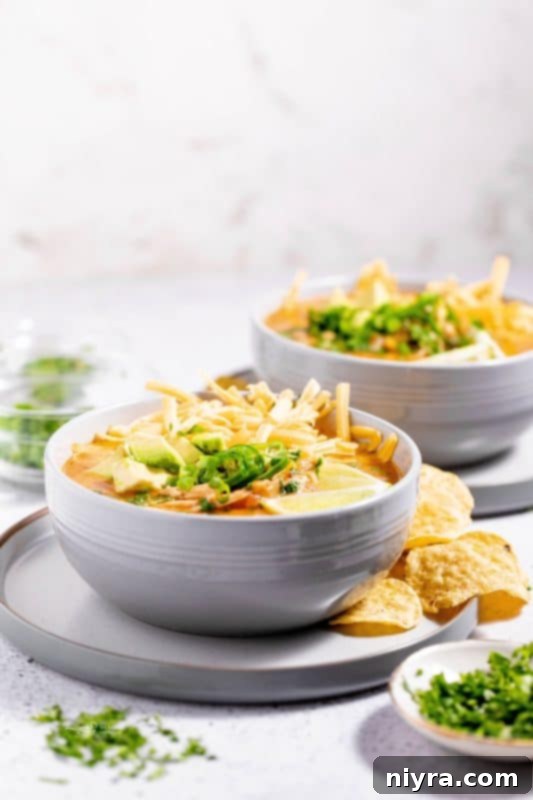 A bowl of Mexican Style Leftover Turkey Soup, garnished with cilantro.