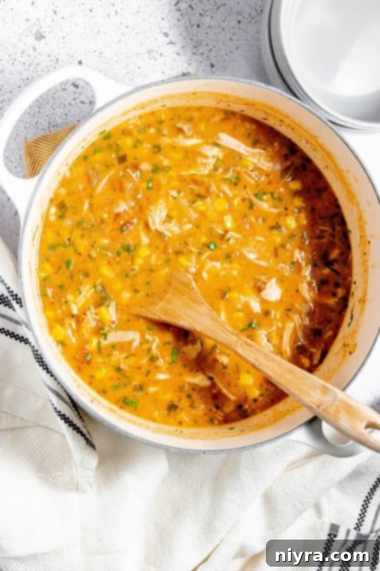 A beautifully plated bowl of Mexican Style Leftover Turkey Soup with cilantro and lime garnish.