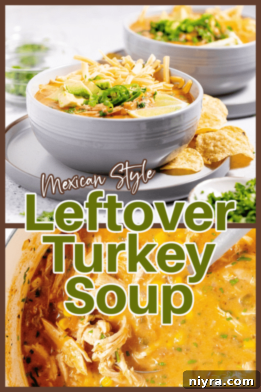 A bowl of Mexican Style Leftover Turkey Soup with the blog logo and title.