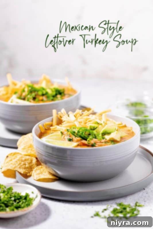 A stunning hero shot of Mexican Style Leftover Turkey Soup, beautifully presented.