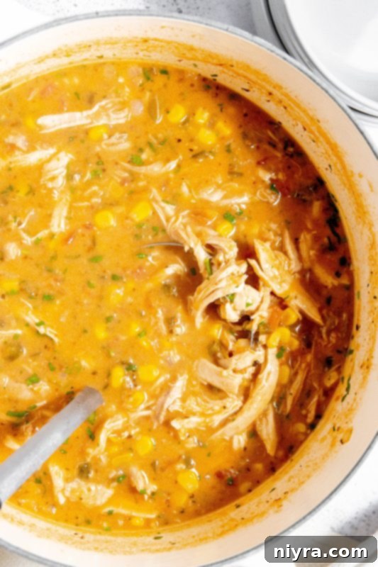 Ingredients for Mexican Style Leftover Turkey Soup laid out on a table.