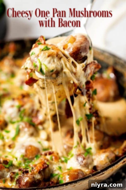Hero shot of Creamy Mushrooms and Bacon in a skillet, ready to serve.