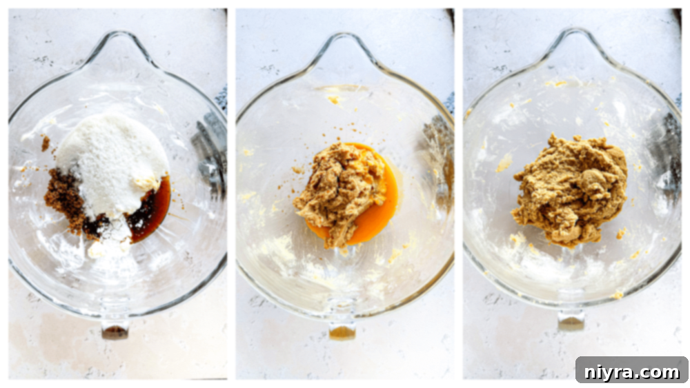 Golden Maple Delights 8 Maple cookie dough in a mixing bowl after all ingredients have been combined.