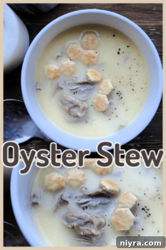 Beautifully presented bowl of oyster stew with crackers on the side.