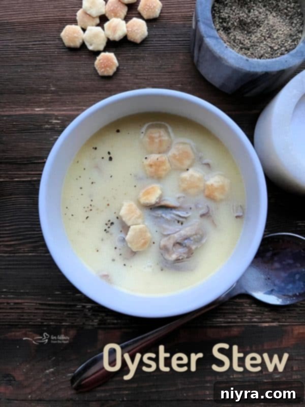 A large bowl of oyster stew with a ladle, ready to serve.