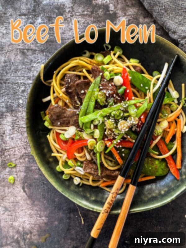 A final, appealing shot of the Beef Lo Mein dish.