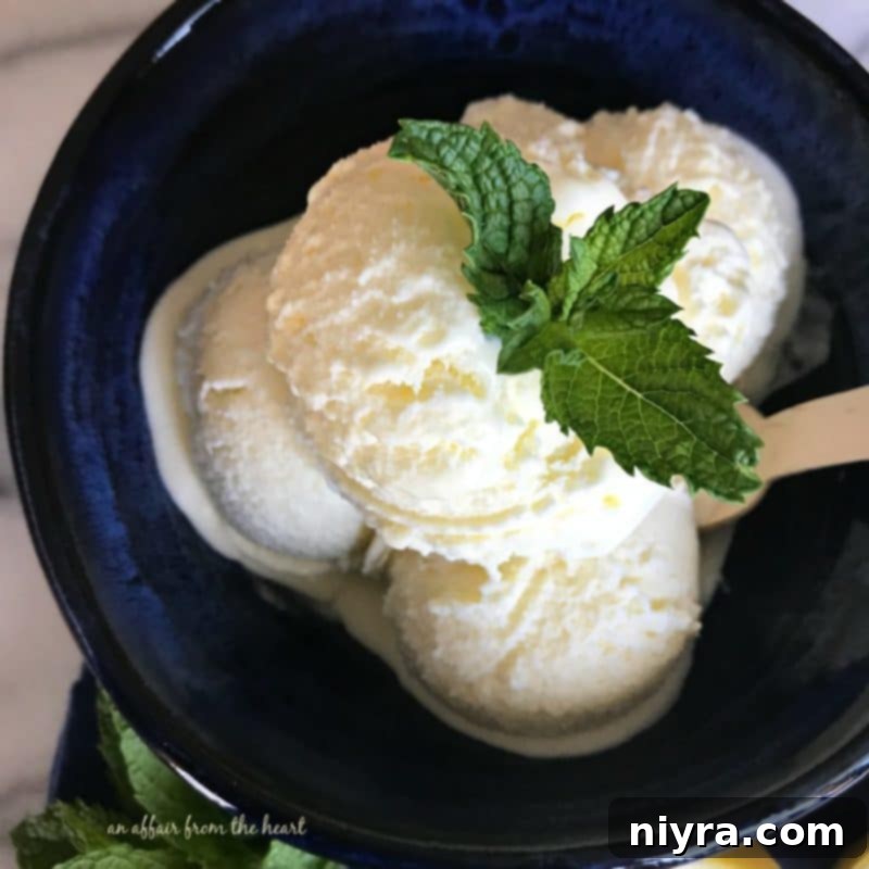 Scoops of homemade lemon ice cream in a bowl, ready to be enjoyed.