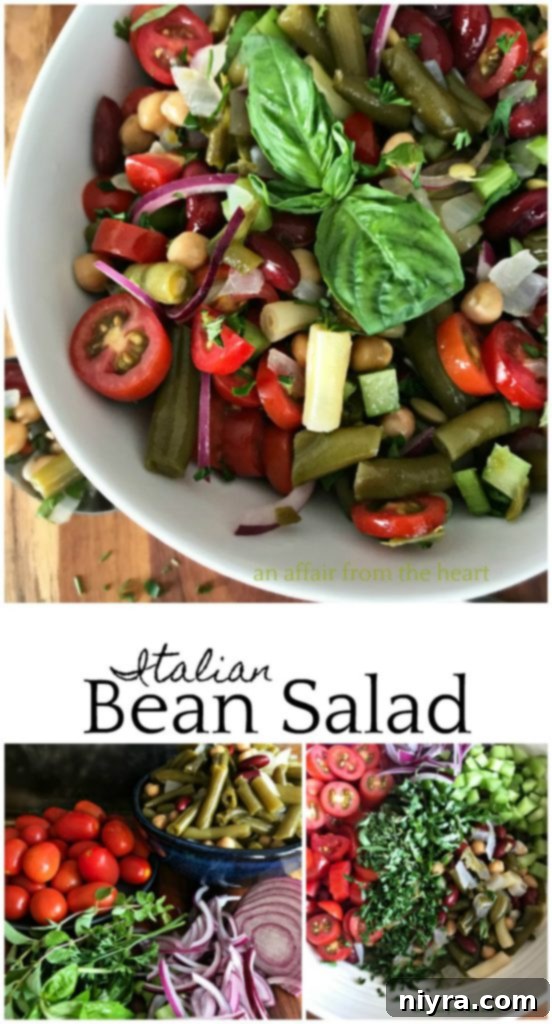 A full view of the Italian Bean Salad in a bowl, with a spoon for serving, against a rustic background.