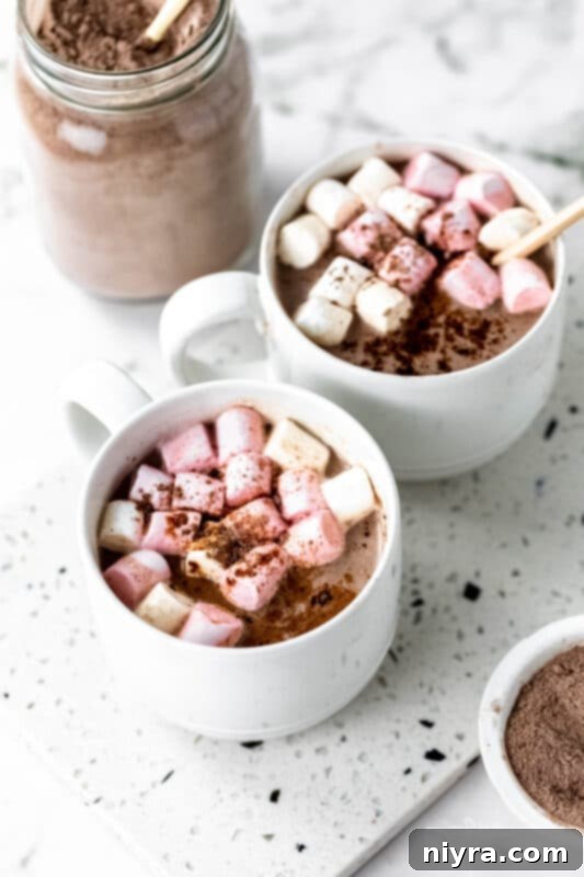Cozy DIY Hot Chocolate Blend 4 Close-up of the three dry ingredients: powdered sugar, powdered milk, and cocoa powder.