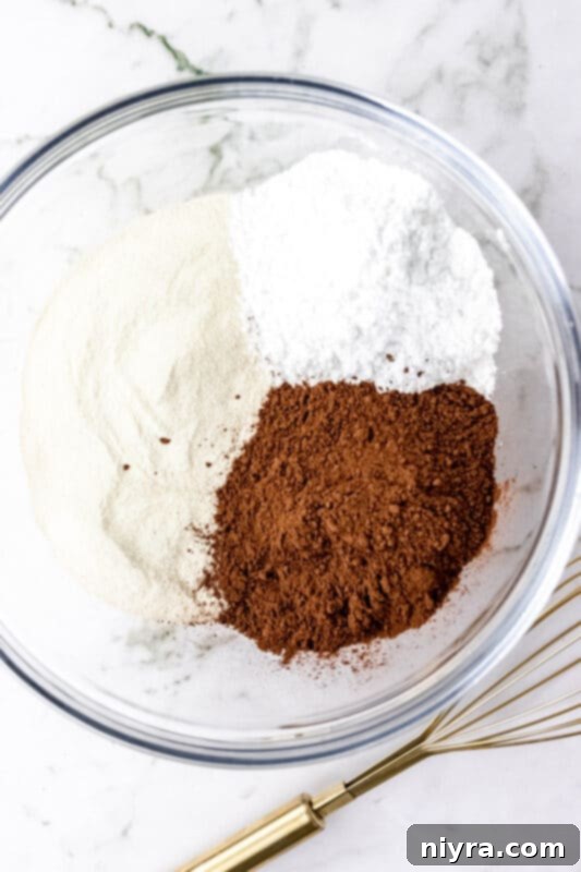 Cozy DIY Hot Chocolate Blend 5 All three dry ingredients placed in a large mixing bowl.