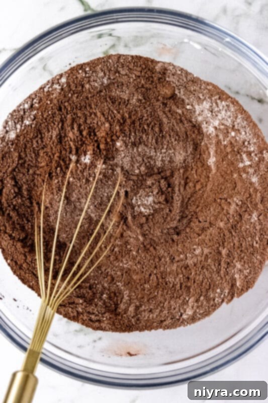 Cozy DIY Hot Chocolate Blend 6 Whisking the dry ingredients together in a large bowl.