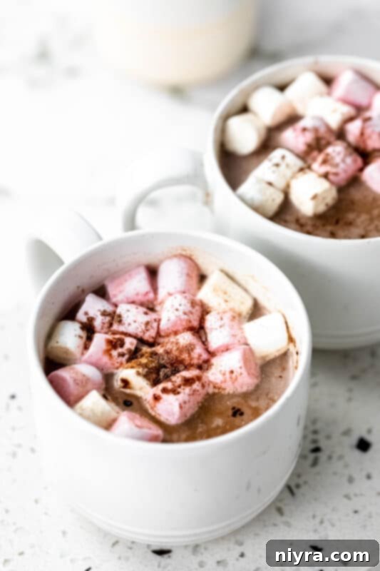Cozy DIY Hot Chocolate Blend 8 A serving of homemade hot cocoa in a mug with marshmallows.