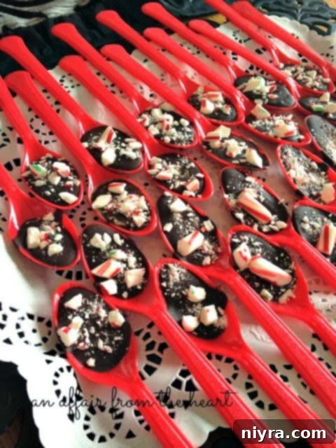 Cozy DIY Hot Chocolate Blend 10 Chocolate peppermint dipping spoons on a white napkin